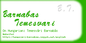 barnabas temesvari business card